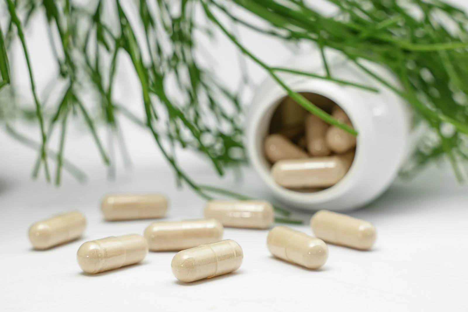 Beige capsules spilling from a white bottle beside green pine needles
