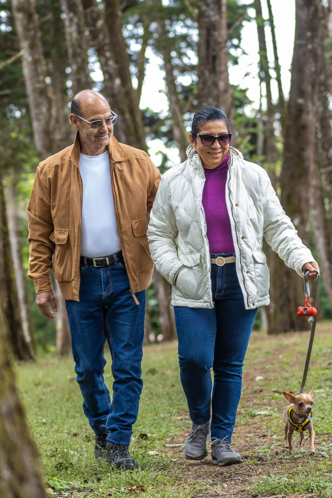 An older couple walking their small dog together on a wooded trail, the kind of daily movement that helps lower blood pressure naturally
